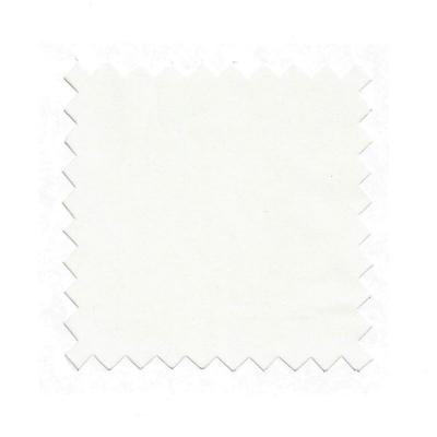 Egg Pongee Silk