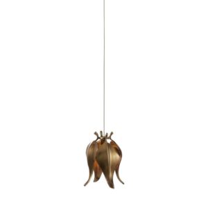 Currey Iota 1 Light Multi Drop Pendant 9000 1019