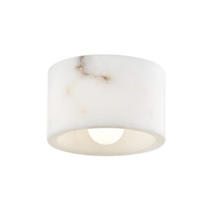 1 LIGHT FLUSH MOUNT 4500 ALA PN