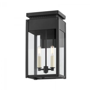 Troy BRAYDAN Wall Sconce B8517 TBK