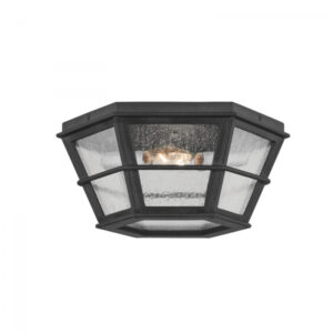 Troy Lake County Flush Mount C2514 FRN