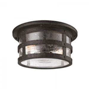 Troy Barbosa Flush Mount C3310 APW