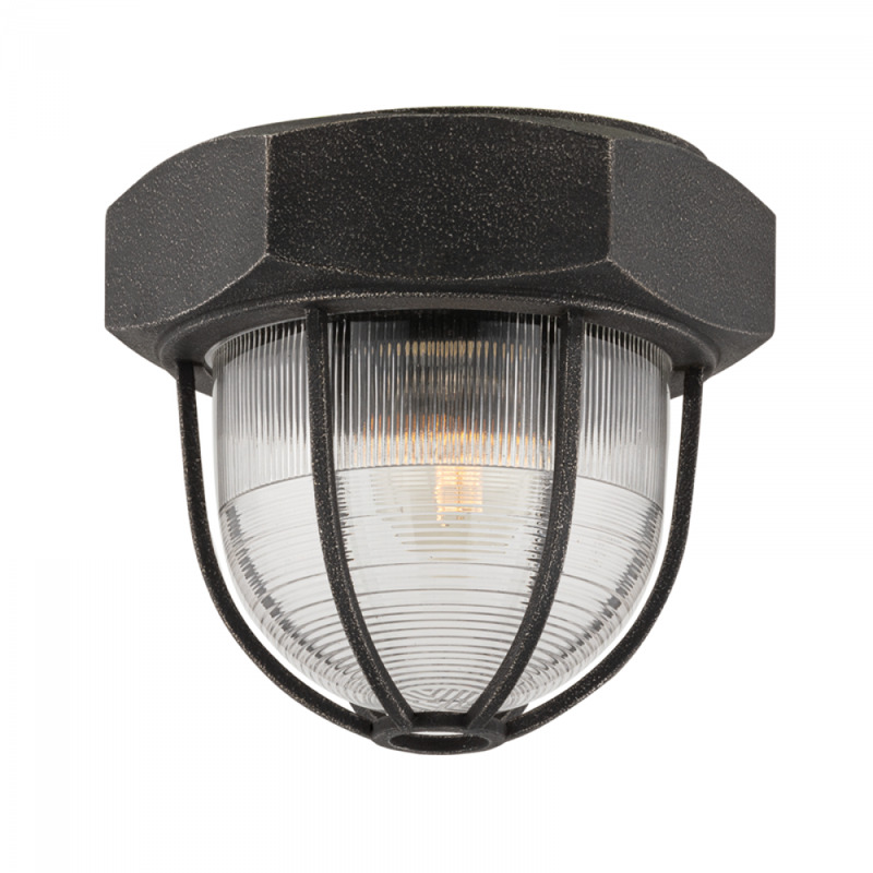 Troy Acme Flush Mount C3891 APW
