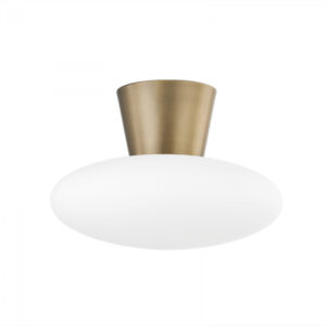 Troy BRODY Flush Mount C5415 PBR