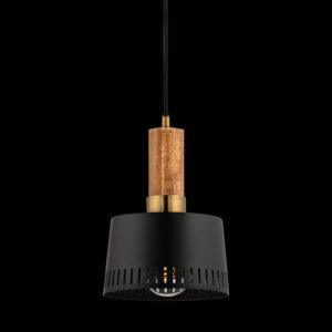 Troy MEMPHIS Pendant F8608 PBR SBK