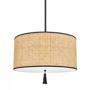Mitzi by Hudson Valley Lighting Dolores Pendant H520703 SBK