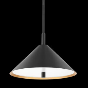 Mitzi by Hudson Valley Lighting BRIANNA Pendant H629703 GL SBK