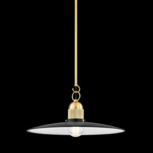 Mitzi by Hudson Valley Lighting LEANNA Pendant H793701 AGB SBK