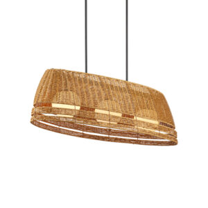 Currey Barbary Oval Outdoor Chandelier 9500 0021